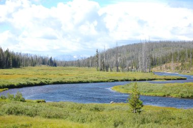 Yellowstone oxbow viraj nehir manzara