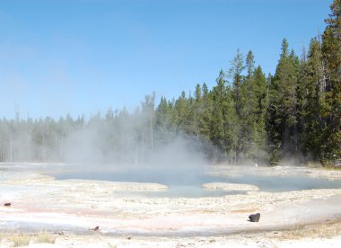 Yellowstone Solitary geyser