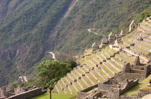 Machu Picchu mostrando terrazas horquilla vuelta carretera —  Fotos de Stock