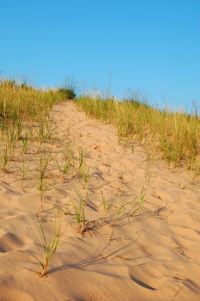 Caminho da duna, Dunas de urso adormecido, MI — Fotografia de Stock