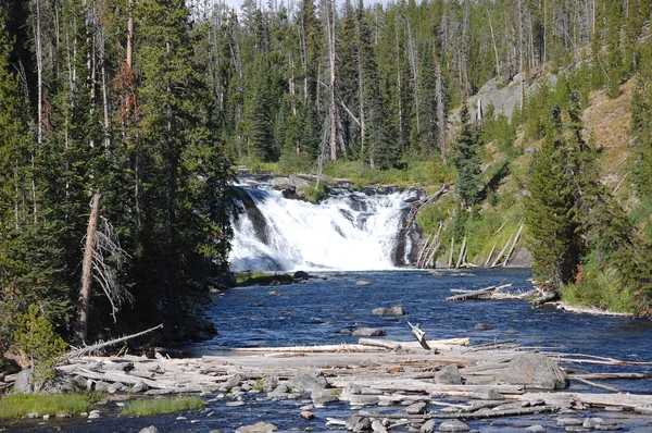 Yellowstone Lewis Falls - far view — Stock Photo, Image