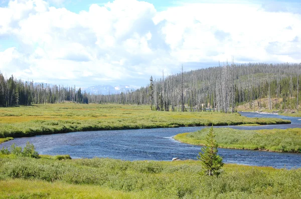 Yellowstone oxbow bend river landscape — Stock Photo, Image