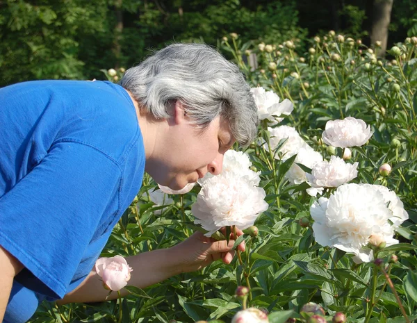 Mujer de mediana edad oliendo flor —  Fotos de Stock