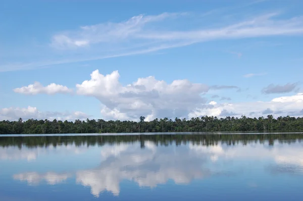 Quistococha lake reflections, Iquitos, Peru — Stock Photo, Image
