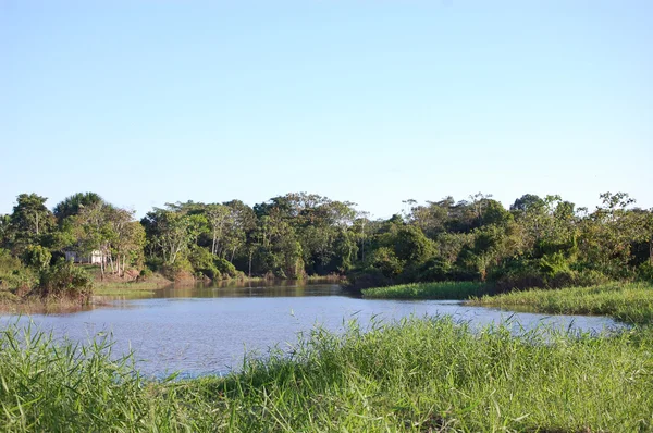 Tropical river view — Stock Photo, Image