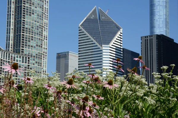 Crain communication, bâtiment, chicago — Photo