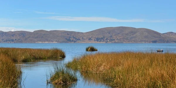 Lake Titicaca reed landscape — Stock Photo, Image