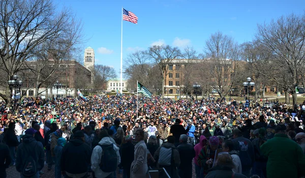 Tömeg: ann arbor hash bash 2014 — Stock Fotó