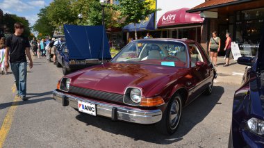 heykel haddeleme, 1975 amc Rahvan giden at göstermek 2013