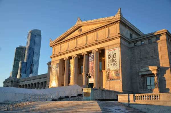 Museo Field de Historia Natural de Chicago —  Fotos de Stock