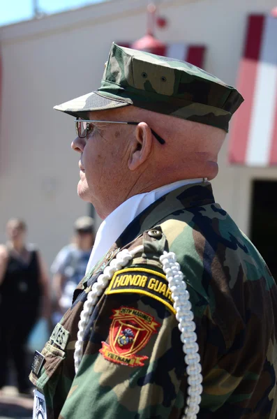 Vietnam veteran at the Ypsilanti, MI 4th of July parade — Stock Photo, Image