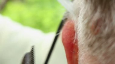 ihtiyar bir adamın saç kesimi