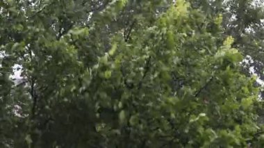 gün içinde fırtına