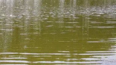 nehir bir yaz gününde