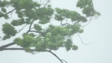 gün içinde fırtına