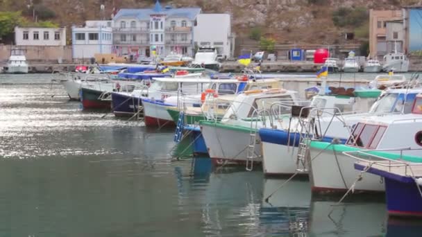 Yachts on the quay ktera — Stok video