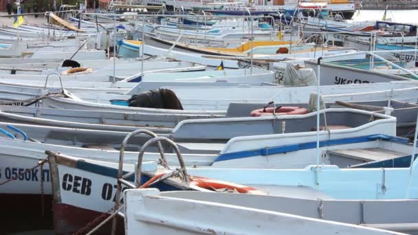 Bahía con barcos — Vídeos de Stock