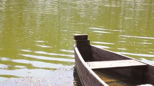 Boot auf dem Fluss — Stockvideo