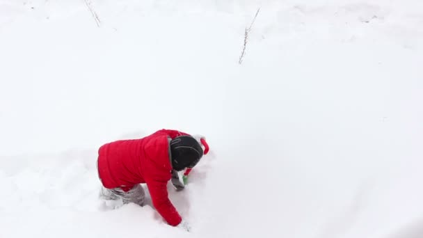 雪の中で少年再生 — ストック動画
