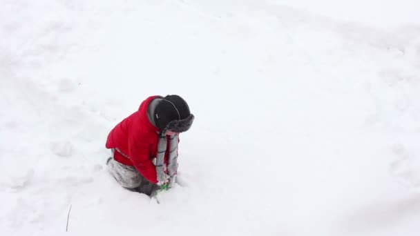 Jongen spelen in sneeuw — Stockvideo