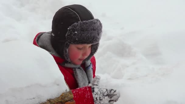 Jongen spelen in sneeuw — Stockvideo