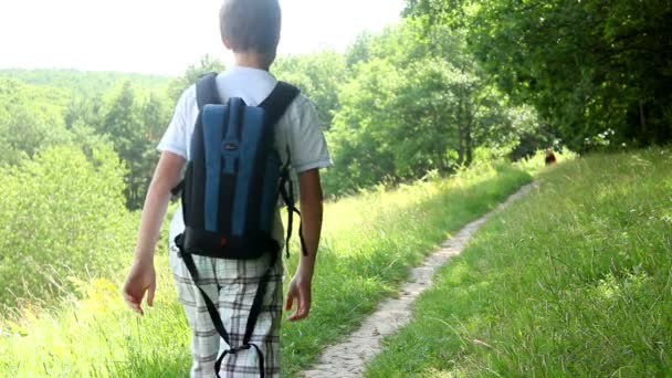 Boy goes on a path in the woods — Stock Video