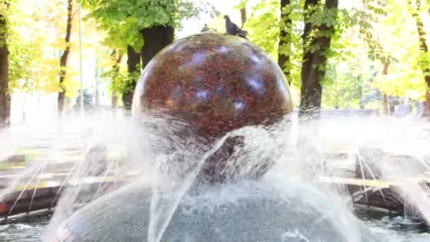 公園内の噴水 — ストック動画