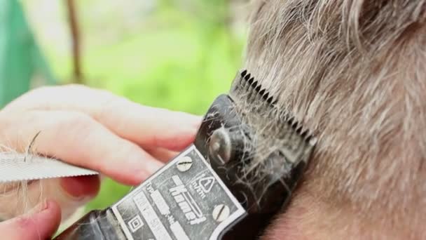 Corte de cabelo homem idoso — Vídeo de Stock