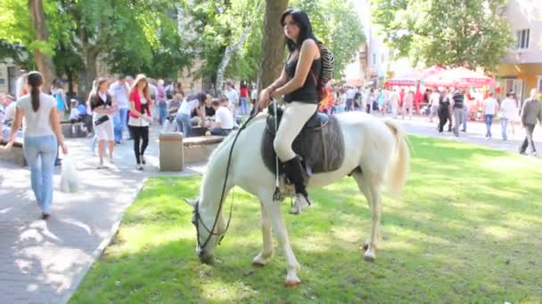 Dívka na koni v parku — Stock video