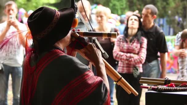 Musicus spelen een blaasinstrument — Stockvideo