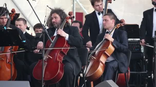 Orkestra konser — Stok video