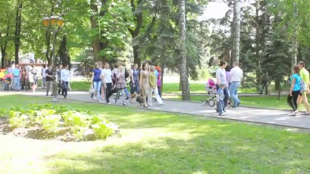 Spaziergänge im Park — Stockvideo