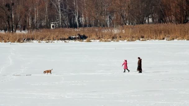 Sur glace — Video