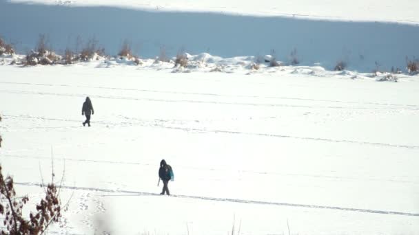 冰上 — 图库视频影像