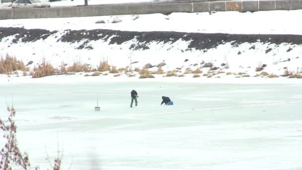 Pesca no gelo — Vídeo de Stock