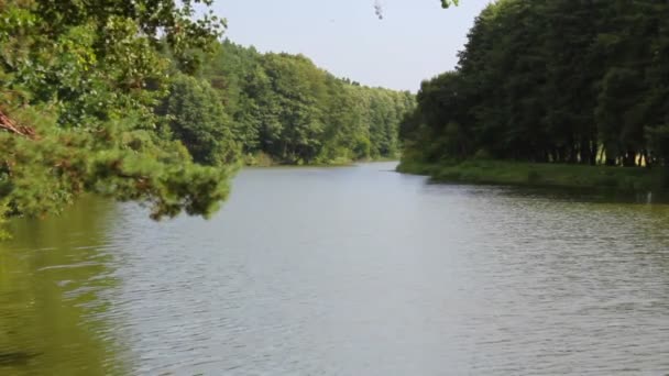 Rivière un jour d'été 