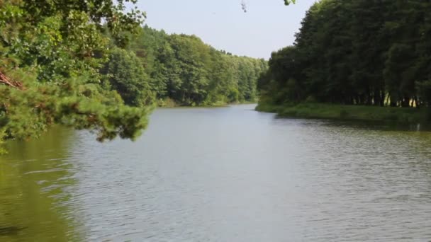 Rivier op een zomerdag — Stockvideo