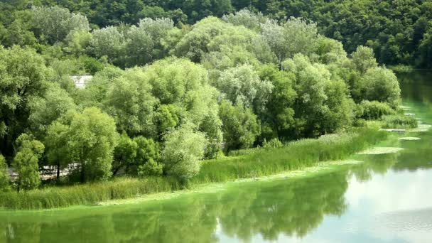 Річка на літній день — стокове відео