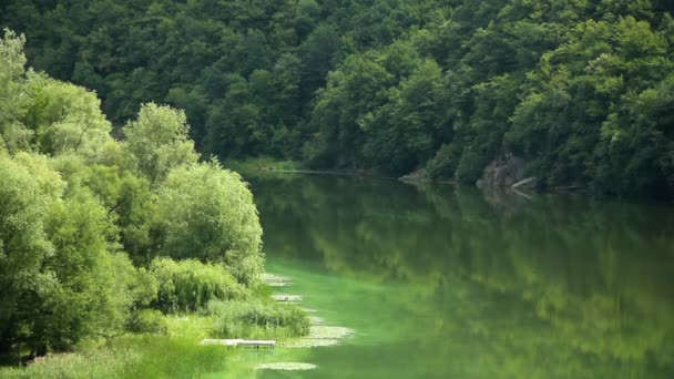 Річка на літній день — стокове відео