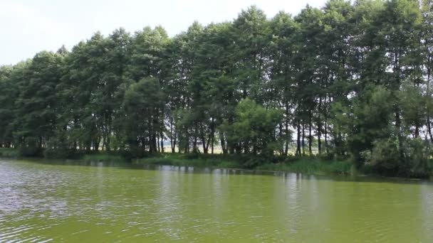 Rivière un jour d'été 