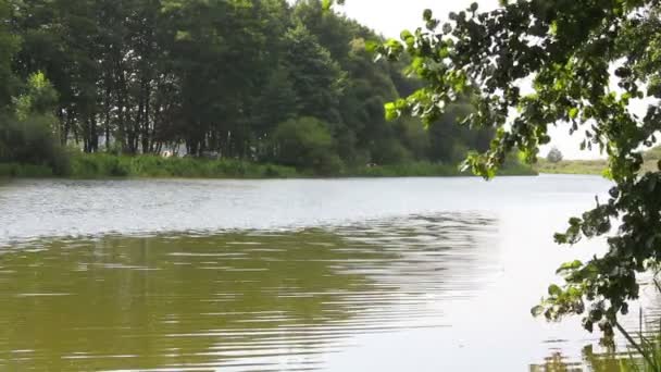 Rivière un jour d'été 