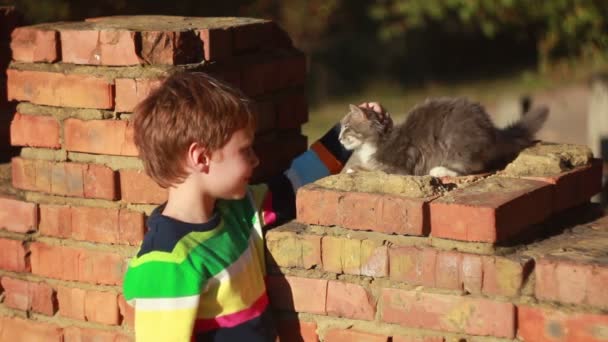 猫と少年 — ストック動画