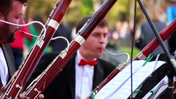 Львовский симфонический оркестр — стоковое видео