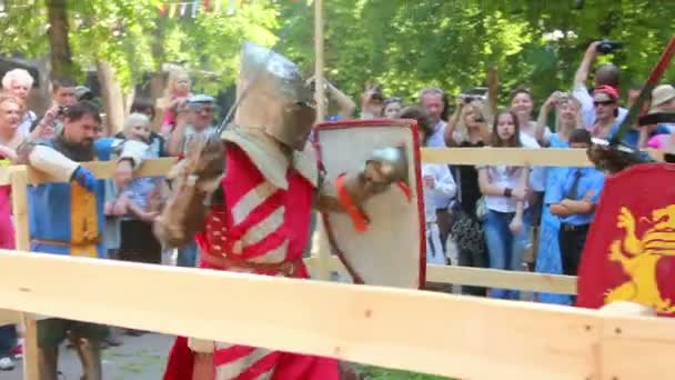 Knightly battles — Stock Video