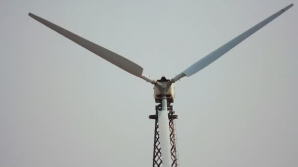 Turbine eoliche — Video Stock