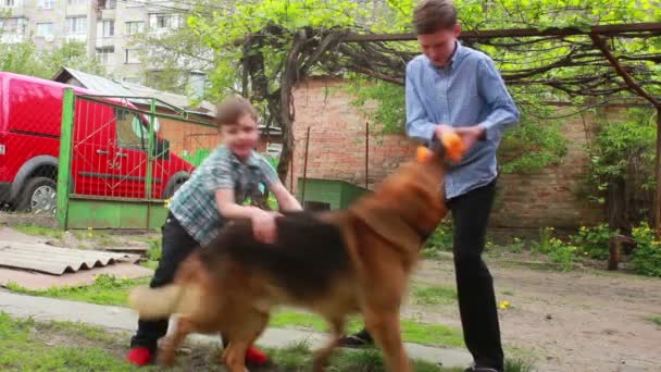 Jongens en hond — Stockvideo