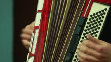 adam akordeon çalıyor