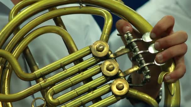 Playing French horn — Stock Video