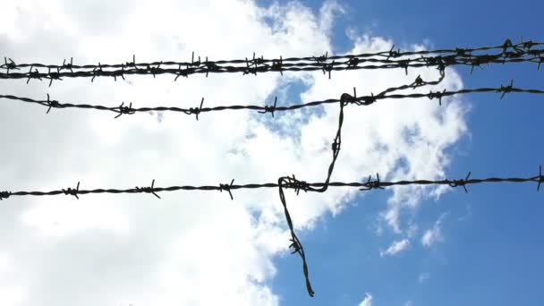 Barbwire sobre el cielo — Vídeos de Stock