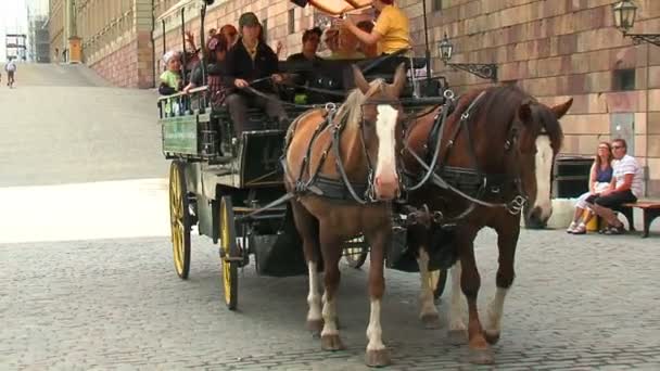 Transporte com cavalos — Vídeo de Stock